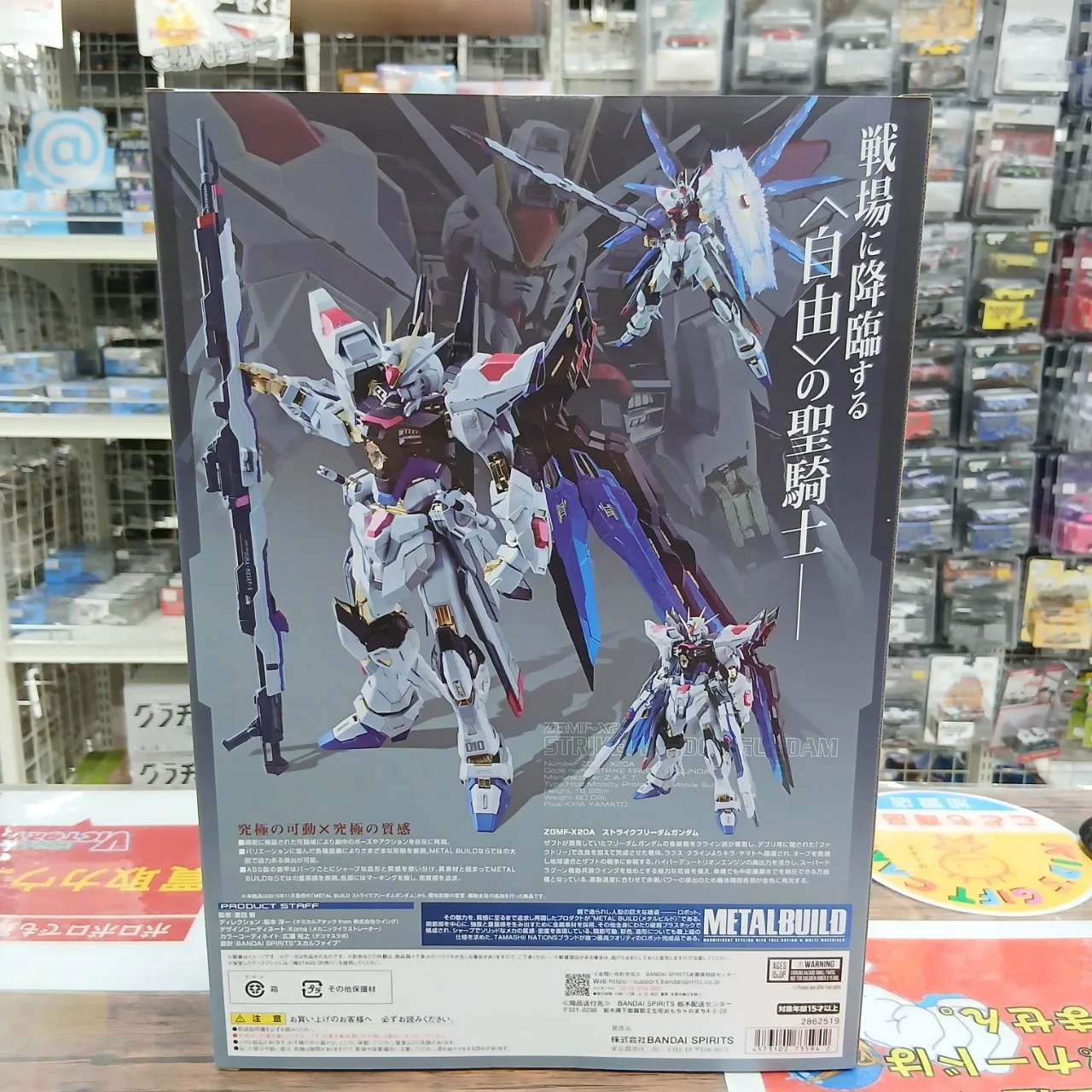 METAL BUILD ZGMF-X20A ストライクフリーダム ガンダム リバイバル版 - 画像 (10)