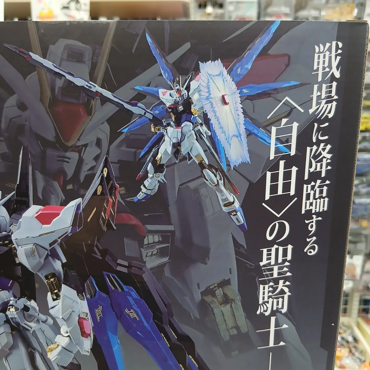 METAL BUILD ZGMF-X20A ストライクフリーダム ガンダム リバイバル版 - 画像 (8)